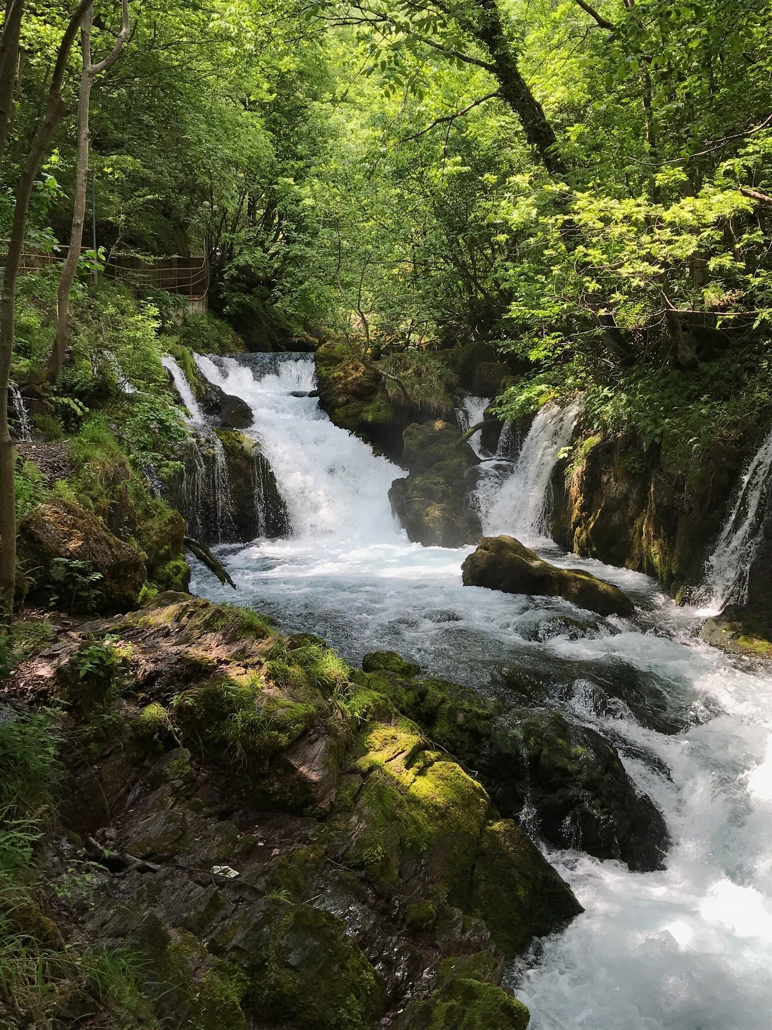 Waterfall swimming