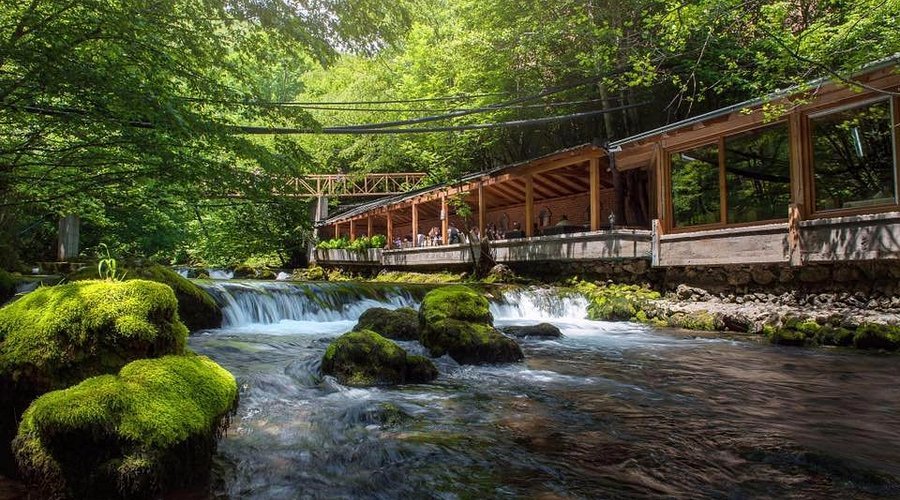 Trout restaurant
